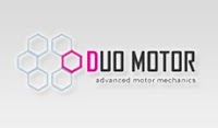 Duo Motor 536984 Image 1
