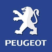 Spire Peugeot 544984 Image 1