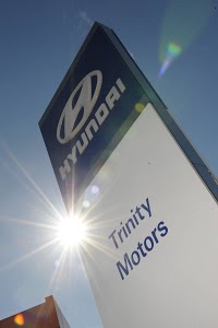 Trinity Motors 570132 Image 0