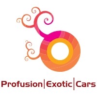 Profusion Exotic Cars 563272 Image 1